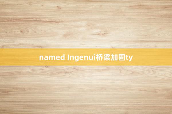 named Ingenui桥梁加固ty